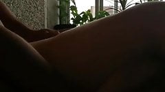 Sunday evening